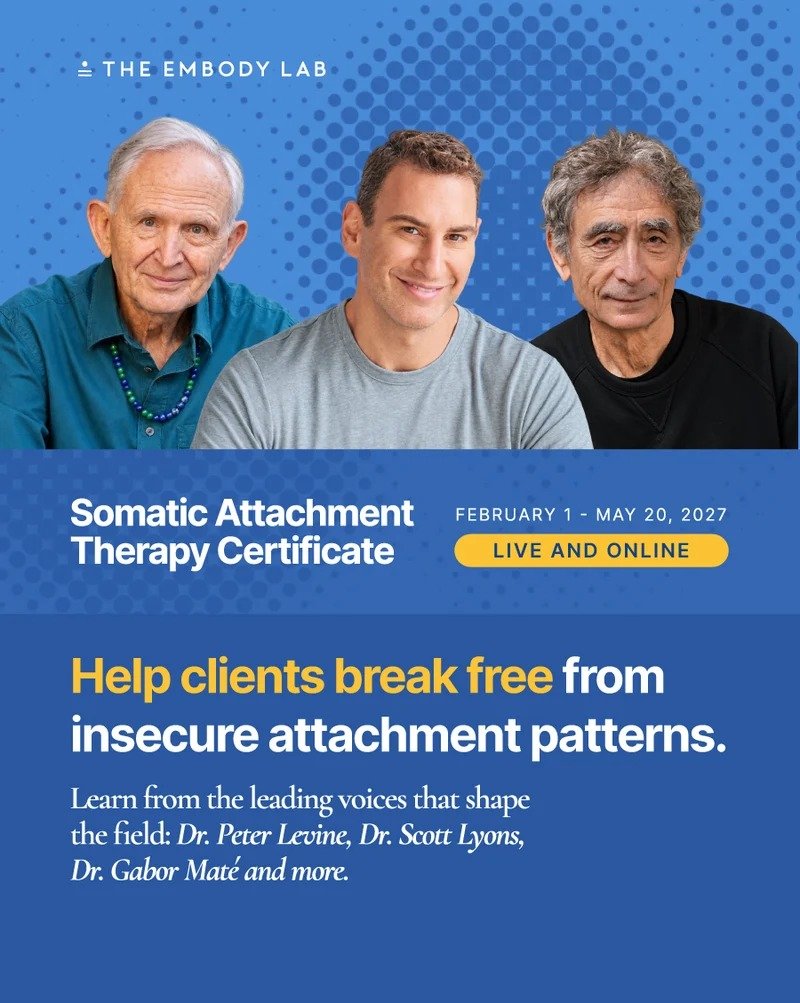Somatic Attachment Therapy Certificate — attachment, body awareness and relational healing